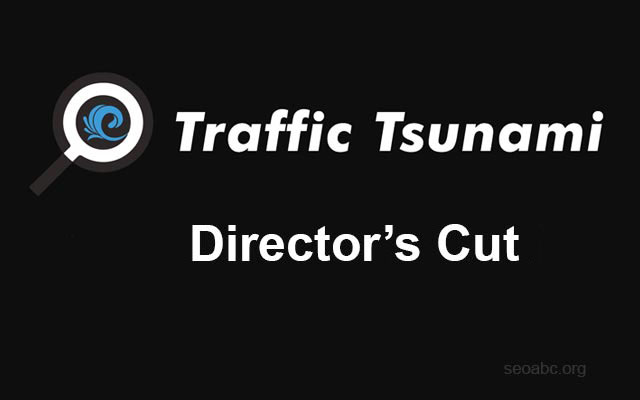 OMG Traffic Tsunami 2022 / Director’s Cut 2022